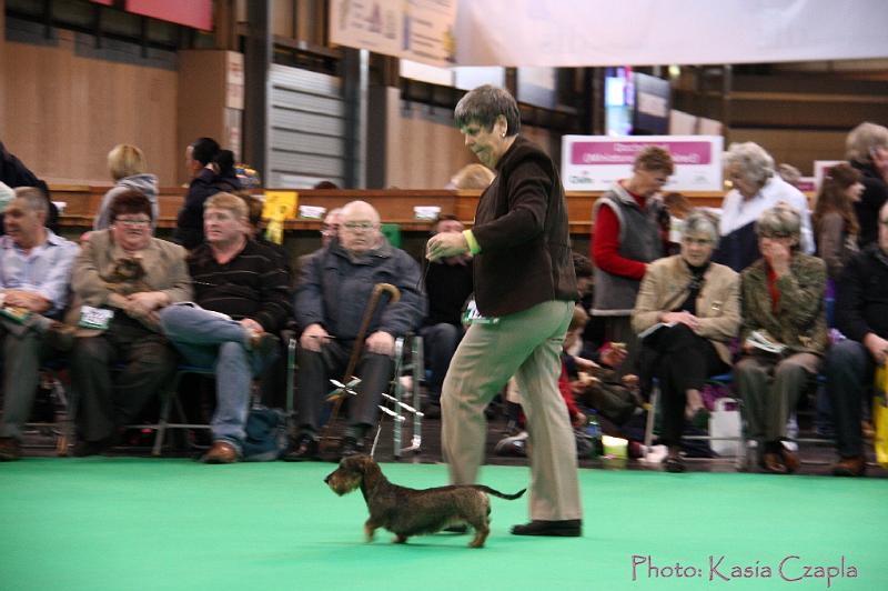 Crufts2011_2 1299.jpg